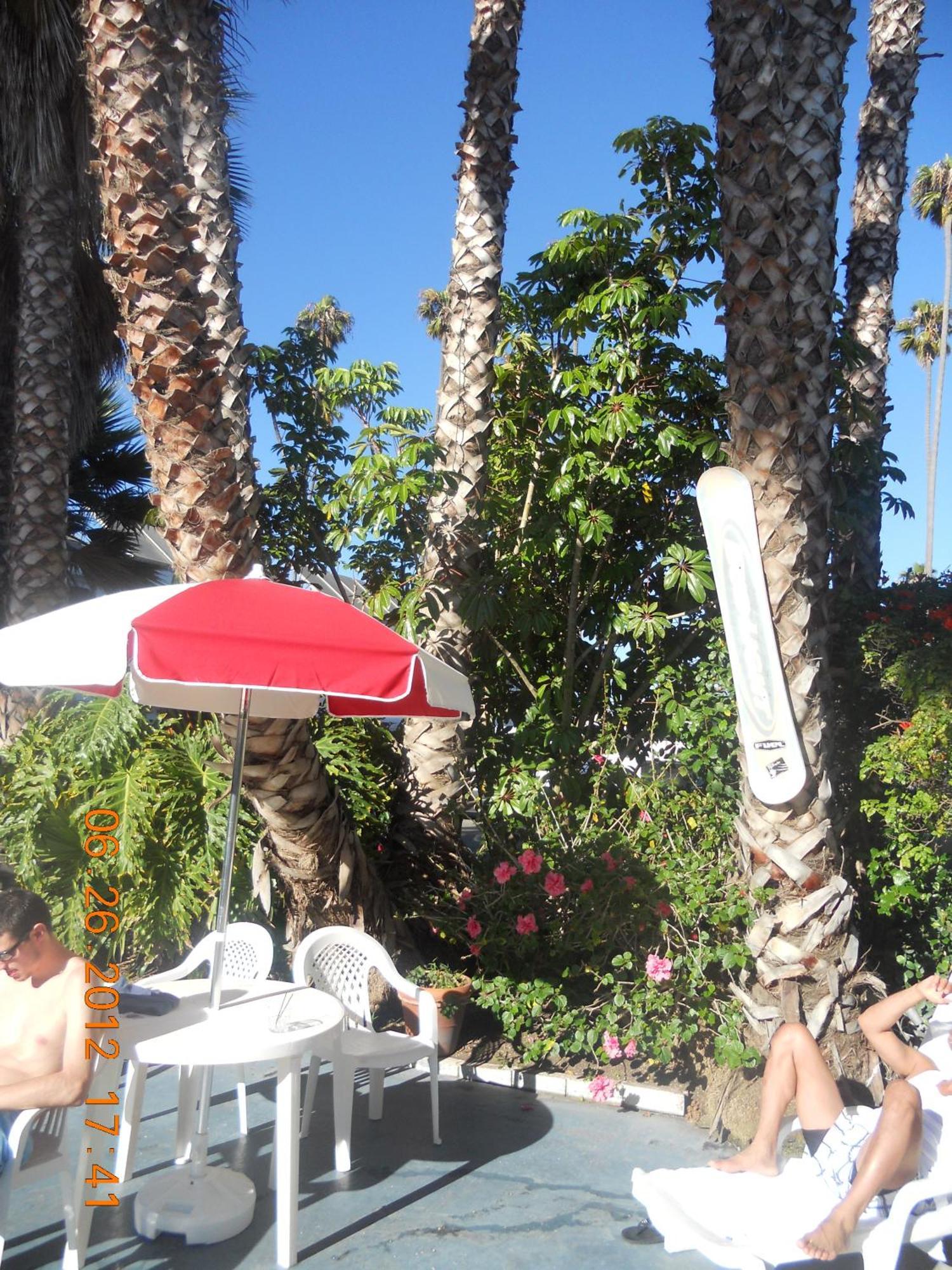 Tradewinds Airport Hotel Inglewood Extérieur photo